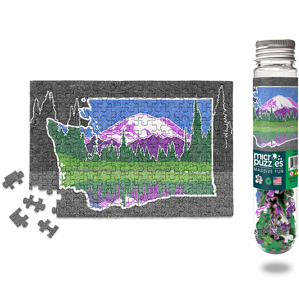 Micro Puzzle - Washington Reflections