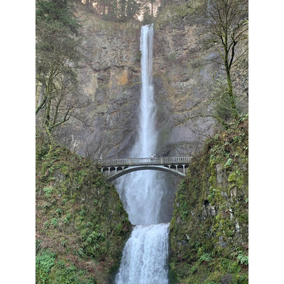 Art Print - Multnomah Falls