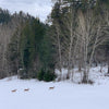 Greeting Card - Ideal Idaho