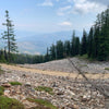 Greeting Card - Ideal Idaho