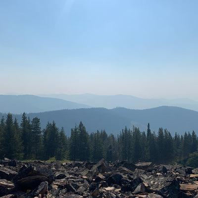 Metal Print - Ideal Idaho