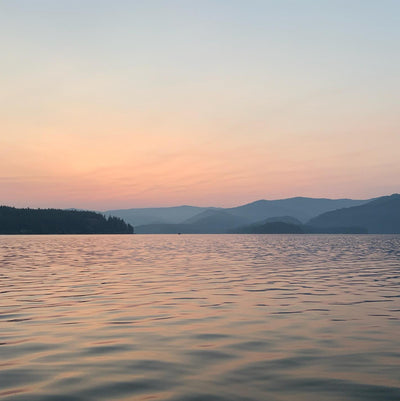 "Ideal Idaho" Original