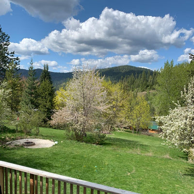 "Ideal Idaho" Original