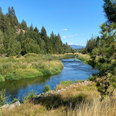 Greeting Card - Ideal Idaho