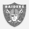 Vinyl Sticker - Raiders