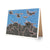 Greeting Card - First to Fight-Greeting Cards-Viz Art Ink