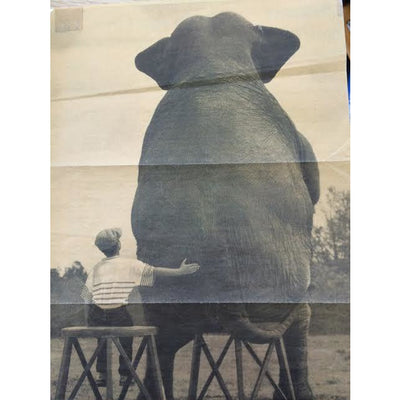 Greeting Card - Birthday Buddies-Greeting Cards-Viz Art Ink